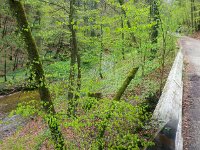 [Group 3]-20170506 105341 20170506 105349-2 images